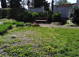 Posezení na zahradě