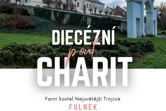Diecézní pouť Charit 2025